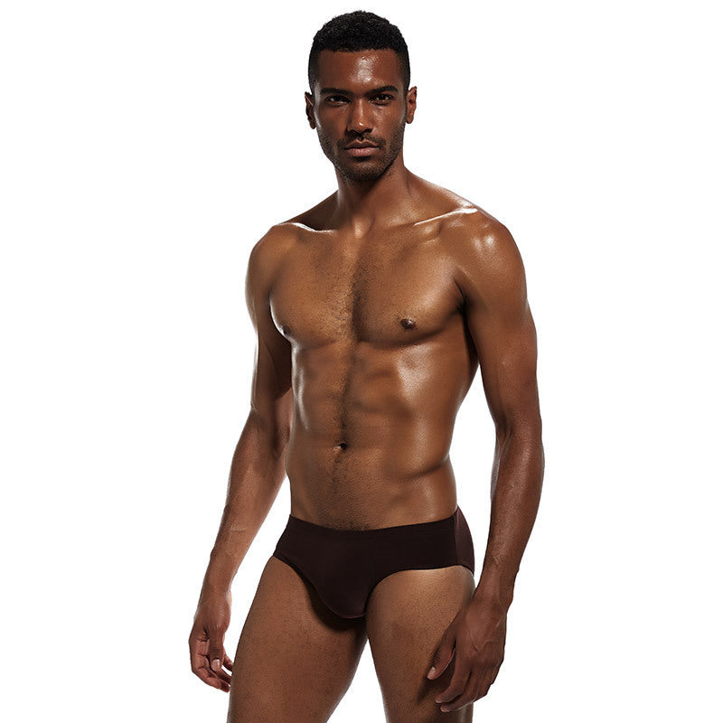 Men's Solid Color Low Waist Polyester Ice Silk Briefs